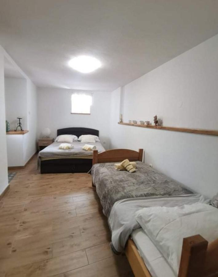 Apartman Ane - Bribir ブリビル エクステリア 写真